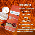 CORDYCEPS MILITARIS GELULE